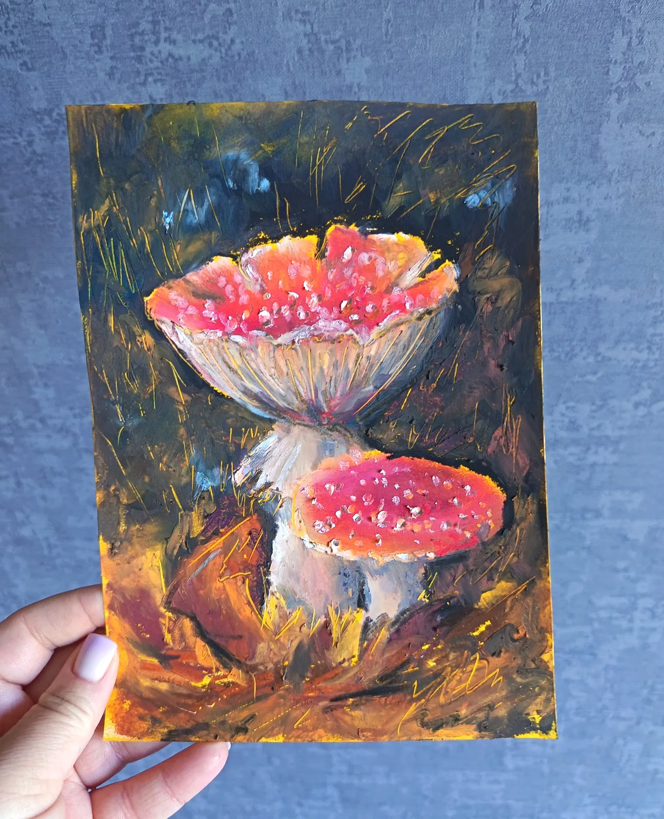Мухоморы 15*20 см.