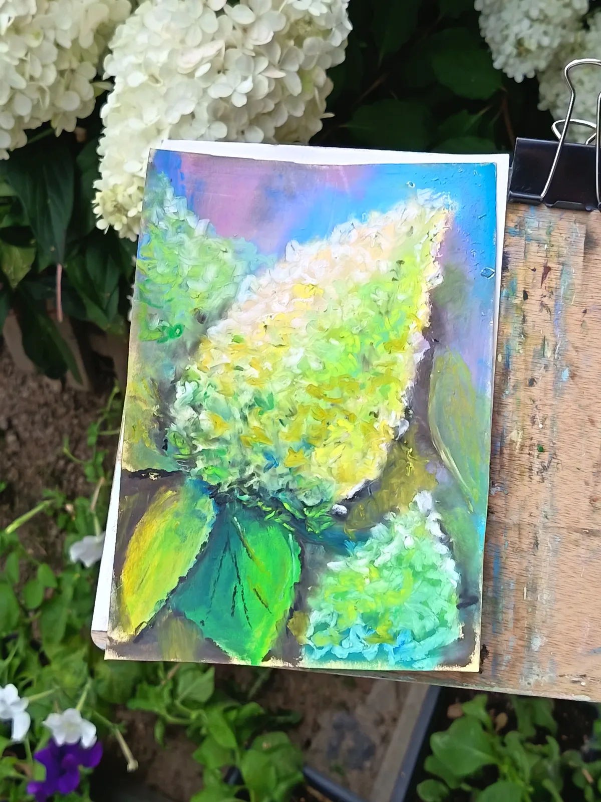 Гортензия 15*21 см.