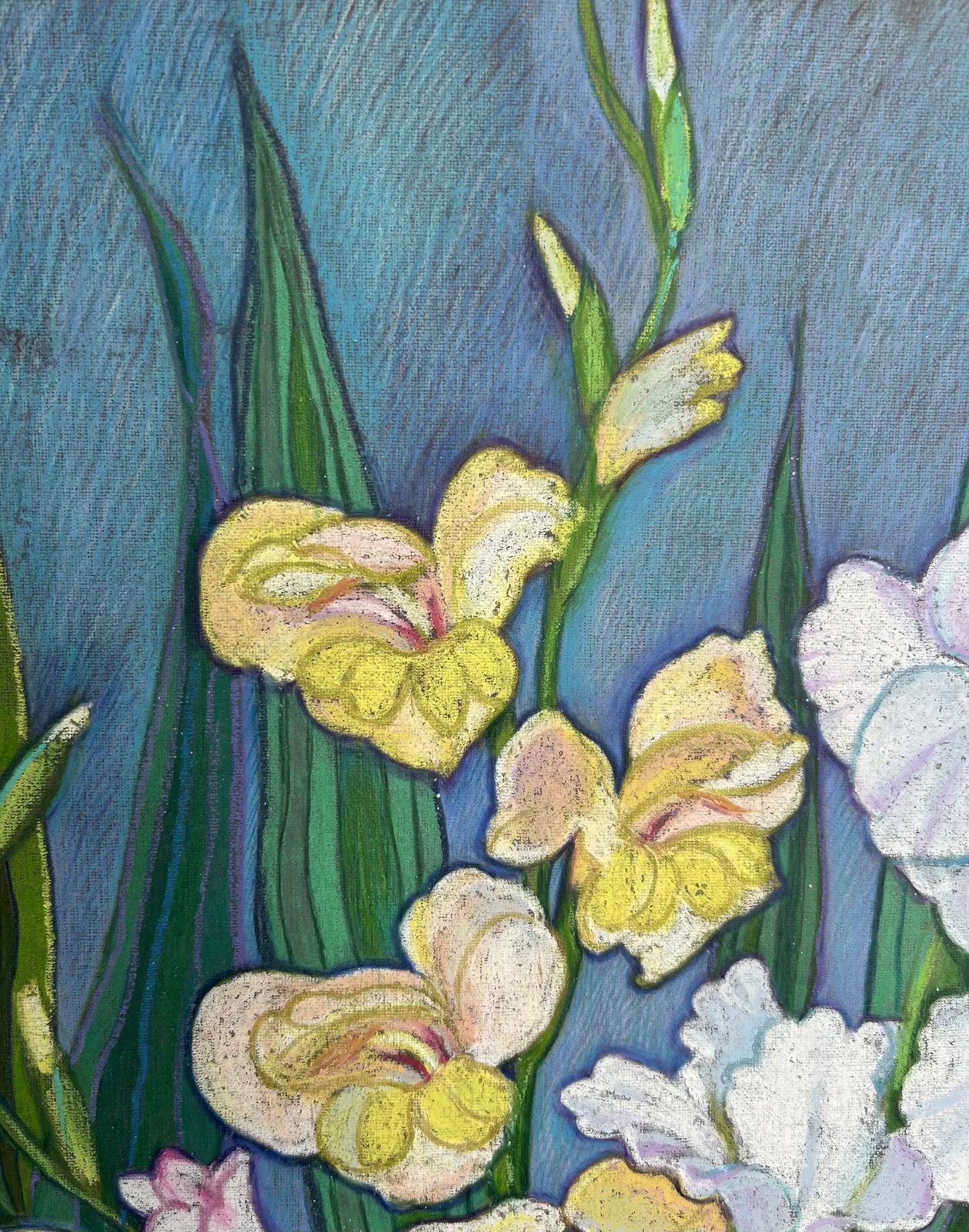 Гладиолусы