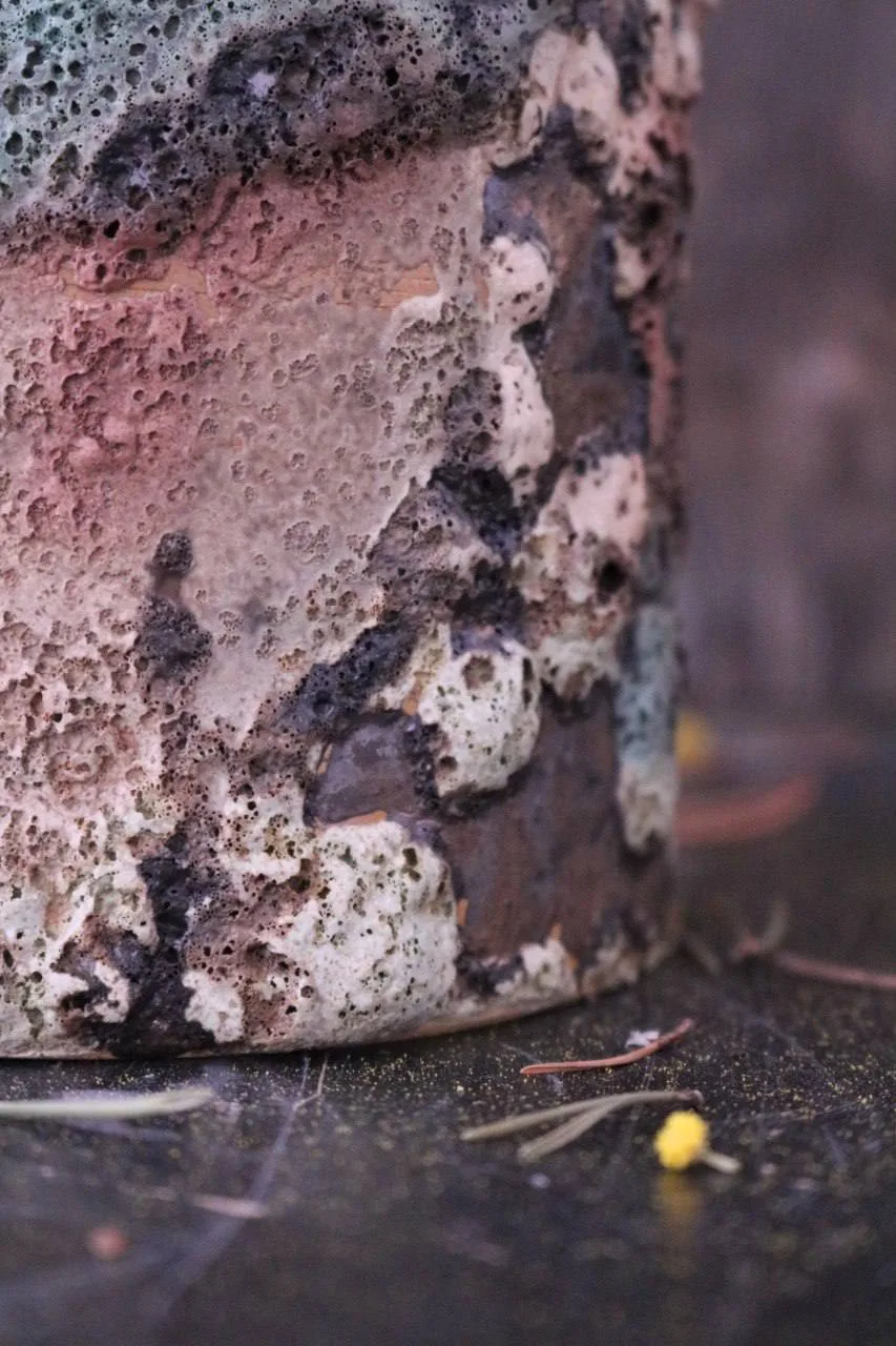 Ваза интерьерная "У хвойных корней!