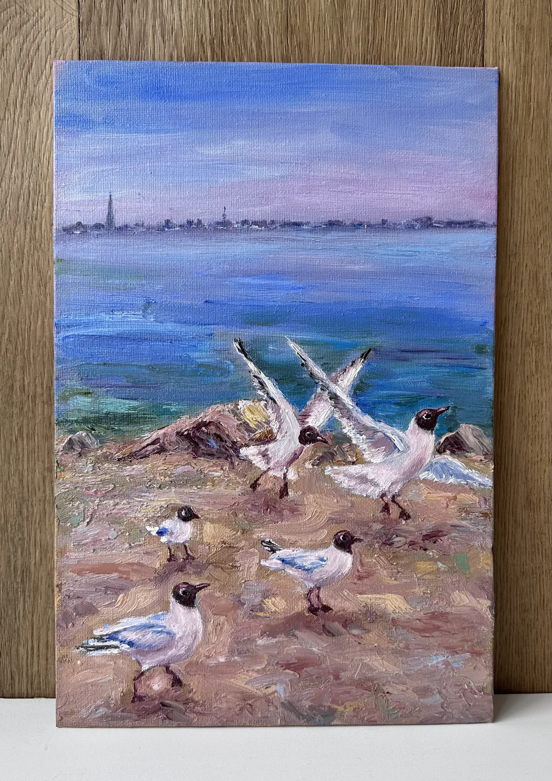 Чайки Петергофа