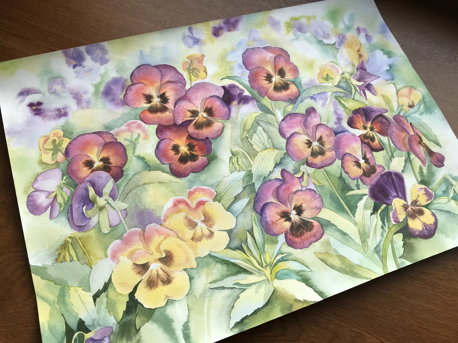 Анютины глазки