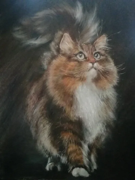 кошка
