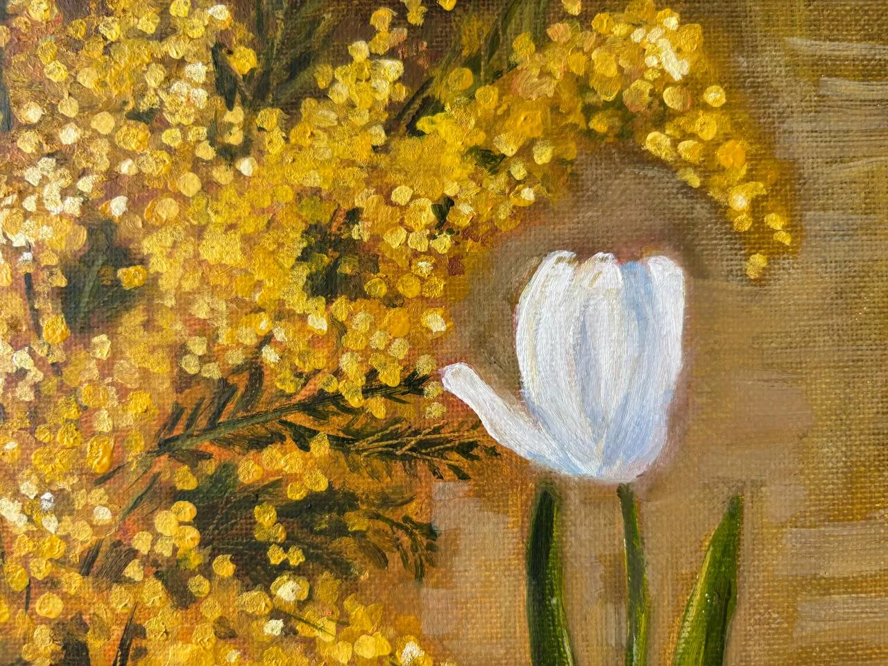 Мимоза и тюльпан