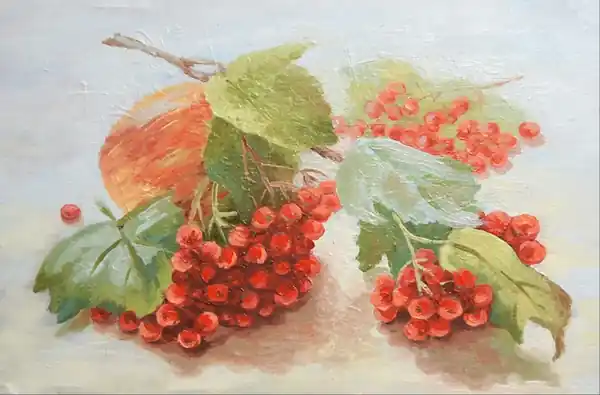 Калина