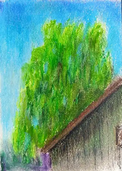 Крыша дома, 15*21 см.
