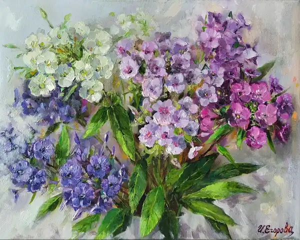 Флоксы в палисаднике