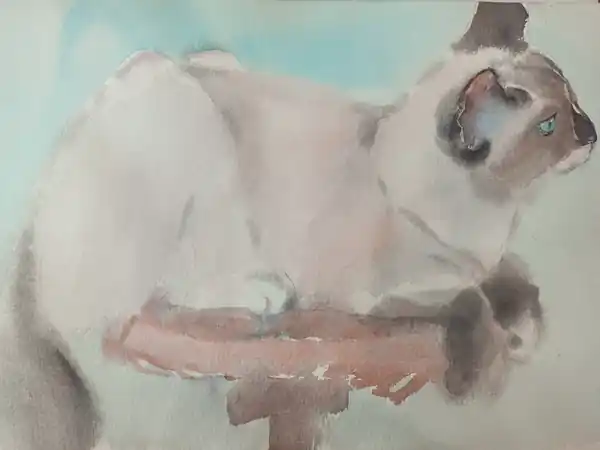 Кошка на вертящемся стуле