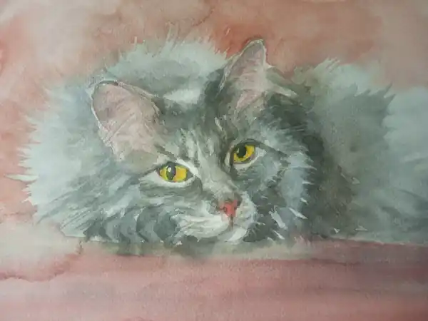 Лежащий кот
