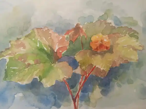 Морошка