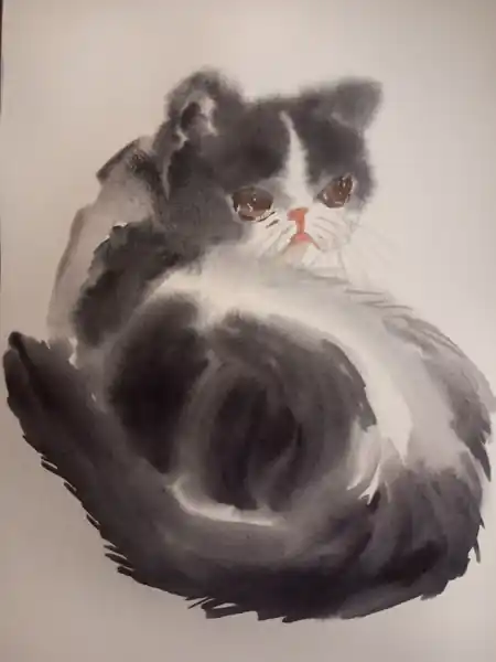 Котенок