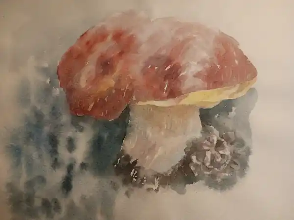 Боровик