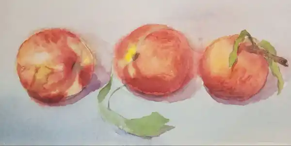 Нектарины