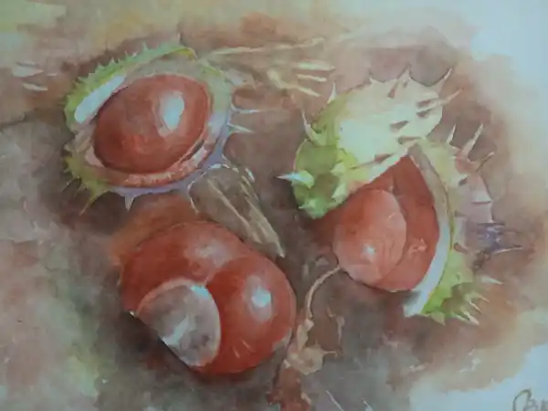 Каштаны