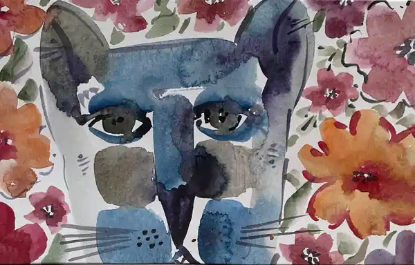 Кошара