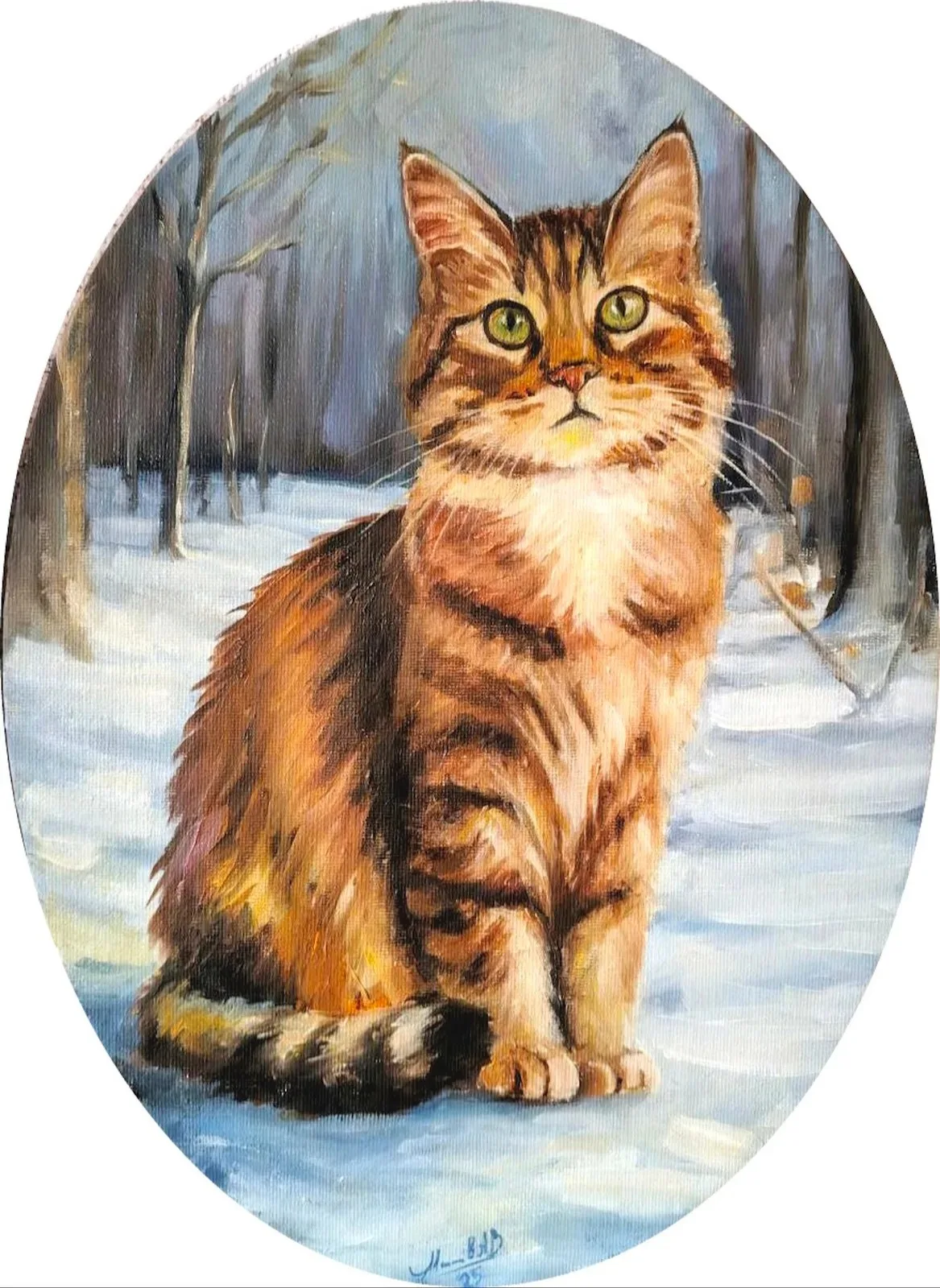 Кот
