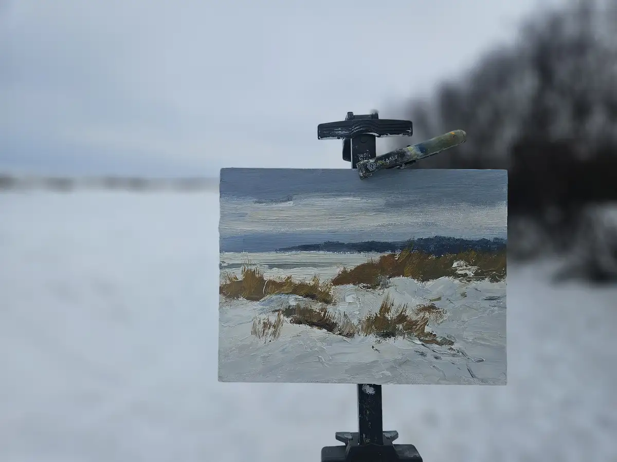 Изображение записи